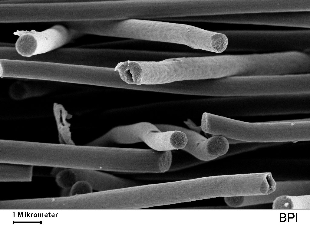 Scanning electron image of fibers