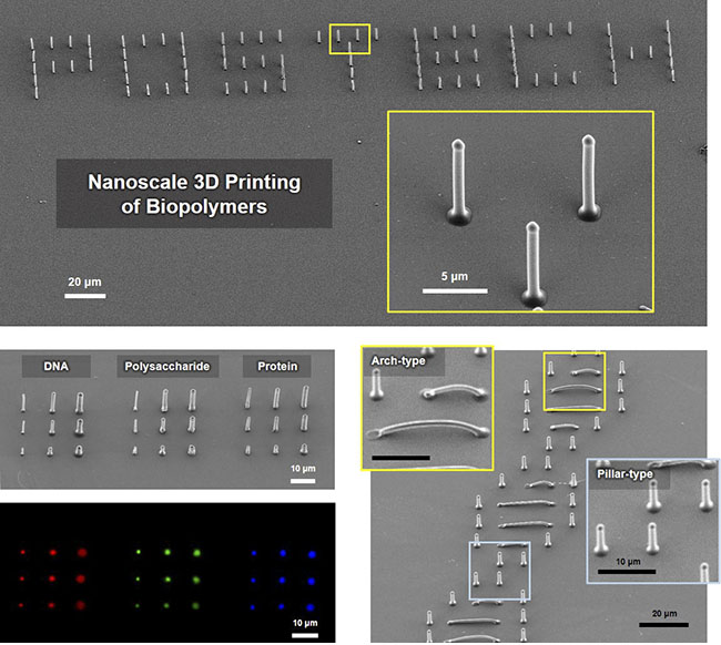 3D nanopatterns of biopolymers