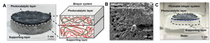Floatable photocatalytic platforms composed of bilayer structures