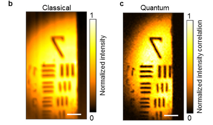 Images produced by standard microscopy and quantum microscopy