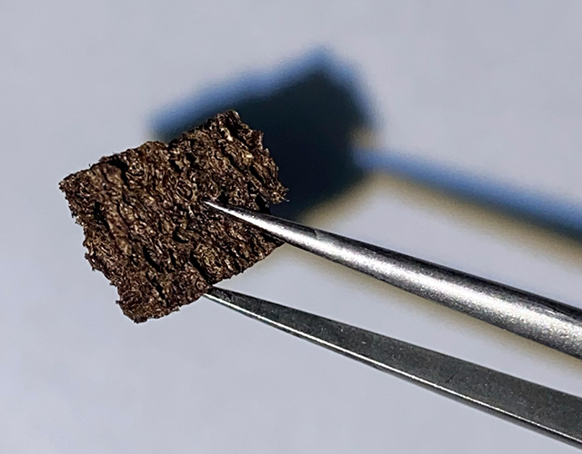 a sponge is coated with an ultrathin layer of nanoparticles
