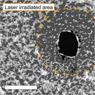 Image of laser-processed graphene film observed by scanning transmission electron microscopy