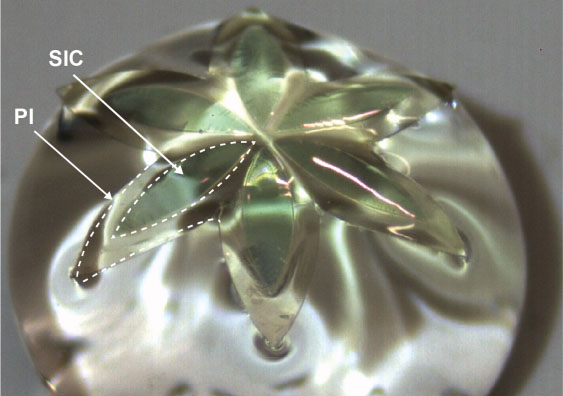 Optical image of an ultra-thin flower-shaped silicon carbide (SiC) wide bandgap semiconductor stamped onto a polyimide (PI) film and placed onto a water droplet