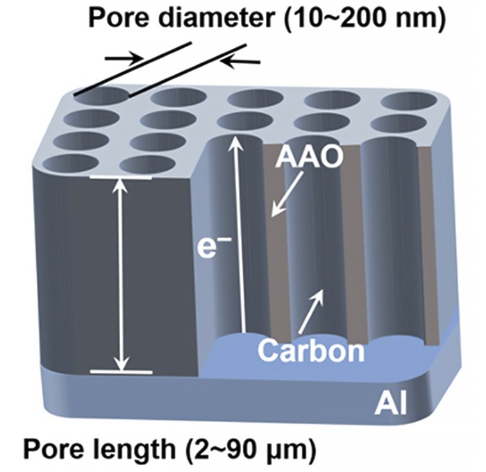 Model membrane electrode showing a wide range of controllability on the pore dimensions