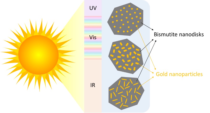 Optimizing the shape anisotropy of gold nanoparticles for enhanced light harvesting and photocatalytic applications