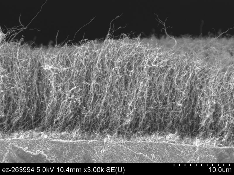 Nanotubos de carbono alineados verticalmente