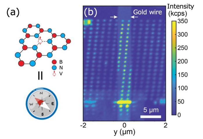 Quantum sensor nanoarray