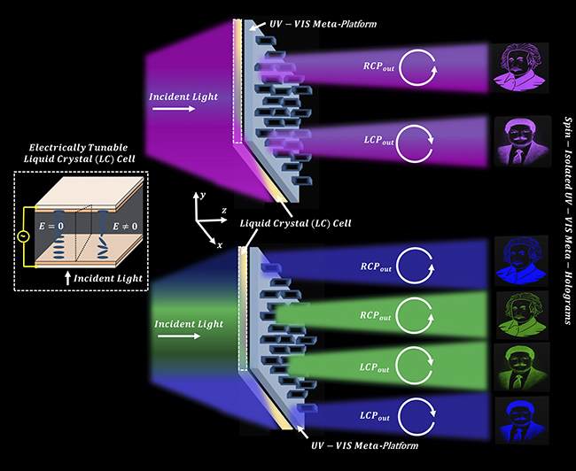 meta-holographic display enable ultraviolet domain holograms