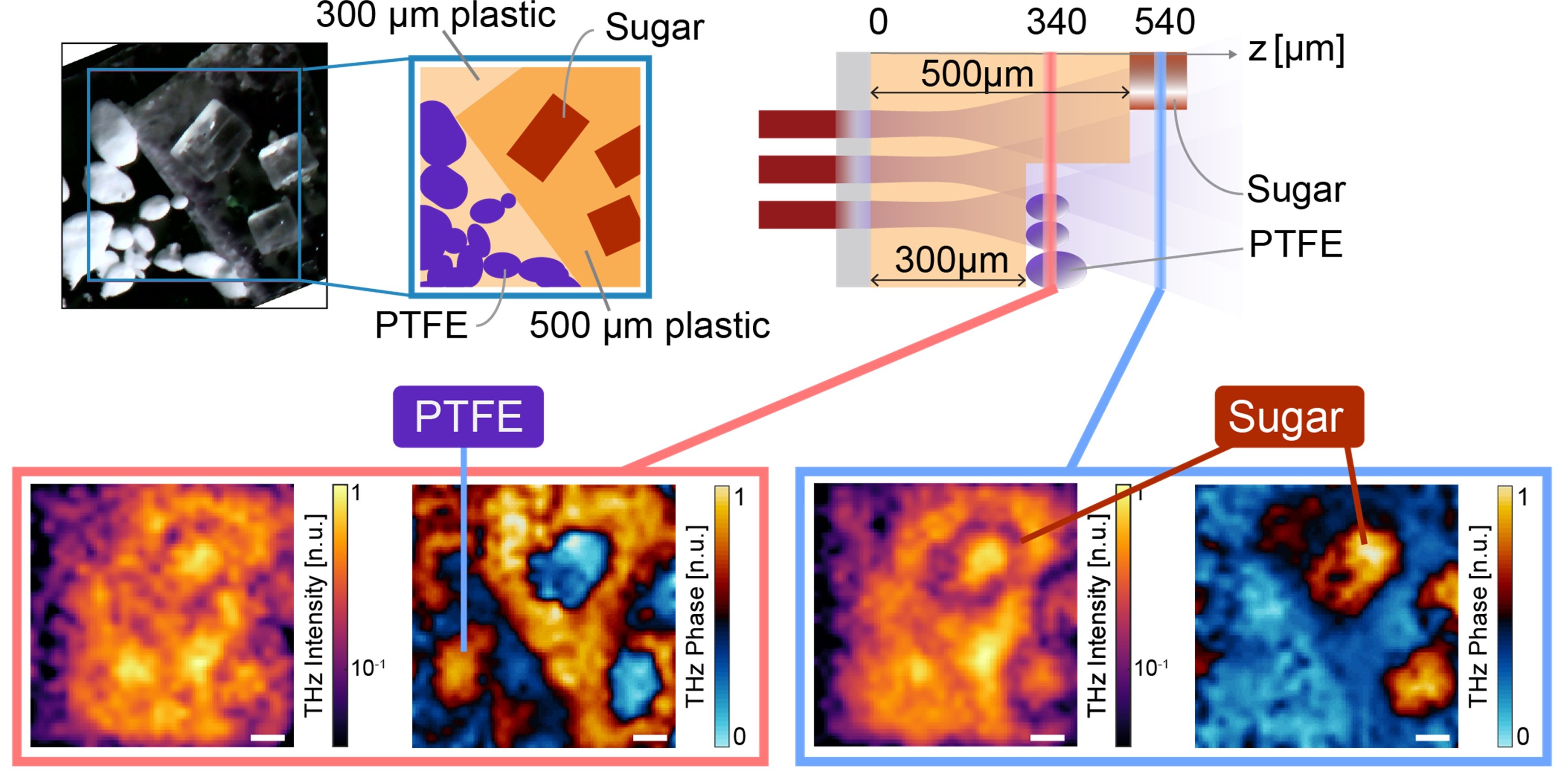 terahertz wave camera can capture 3D images of microscopic world
