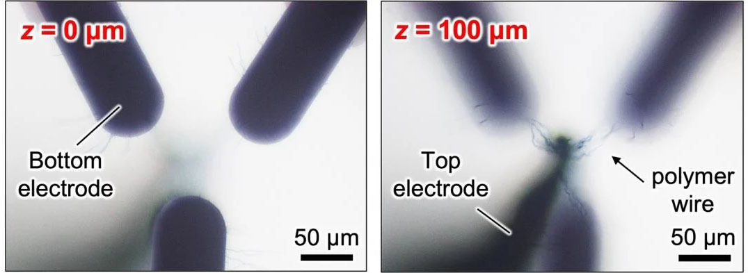 Optical microscopy images of the 3D polymer wiring between a top electrode (TE) and three bottom electrodes