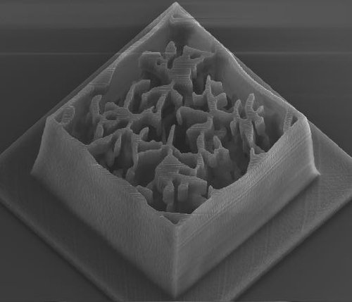 SEM image of a 3D printed optical metamaterial device