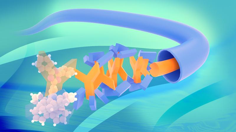 Due to the special chemical structure of the polymer, the molecules arrange themselves in a kind of spiral