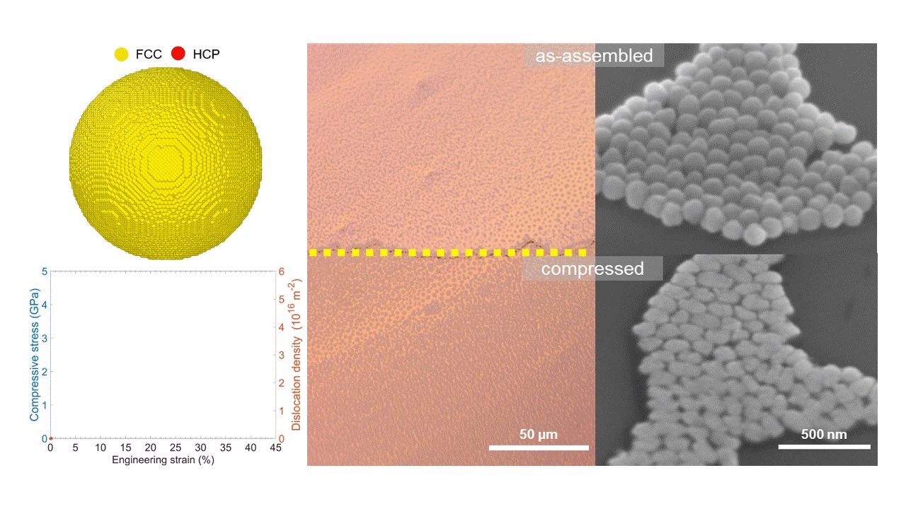 ultra-thin 2D nanogold sheets