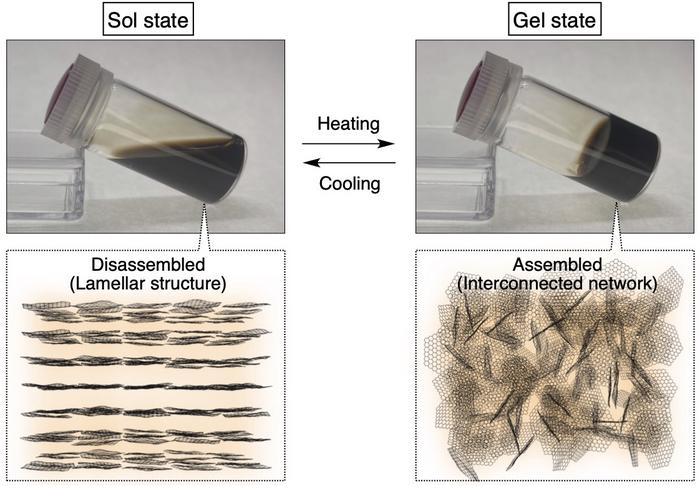 Thermoresponsive properties of counteraction-engineered graphene-oxide (GO) nanosheets