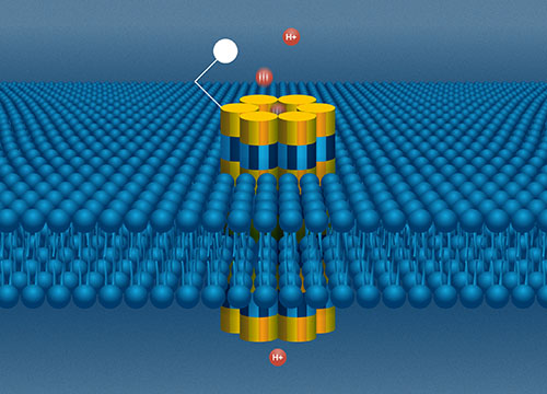 A DNA nanopore sits in a lipid bilayer as an electrode sends a stream of protons through the channel