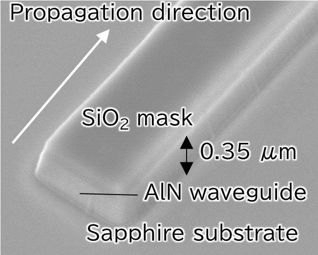 SEM image of fabricated polarity inverted AlN waveguide