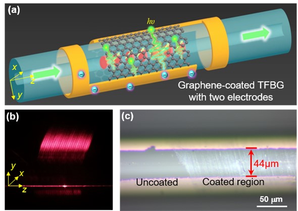 Graphene-integrated TFBG photoelectric device