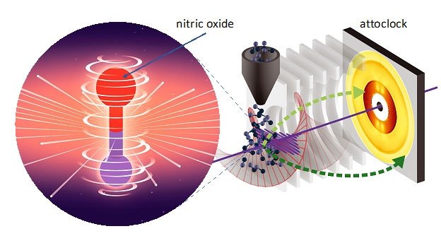Electrons in a highly excited state rotate around a nitric oxide molecule