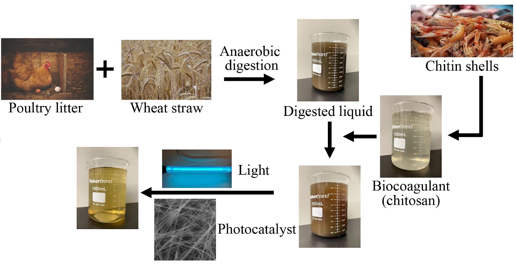Innovative solution for poultry litter waste management using photocatalytic titanate nanofibers