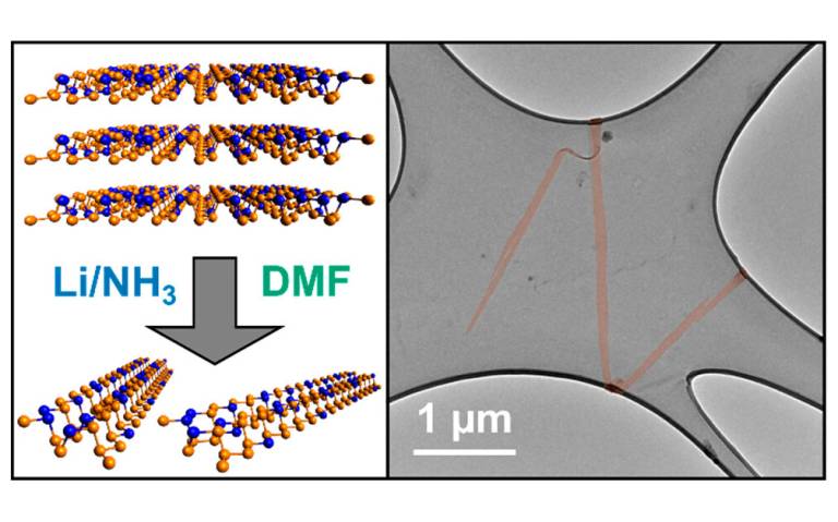 Quasi-1D nanoribbons provide a unique route to diversifying the properties of their parent 2D nanomaterial, introducing lateral quantum confinement and an abundance of edge sites