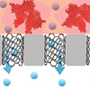 Read more about the article Membrane for kidney dialysis fabricated with carbon nanotubes