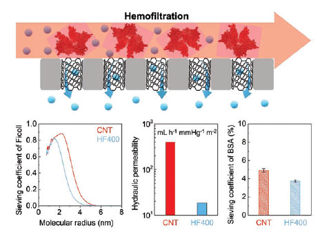 Wafer-scale vertically aligned carbon nanotubes (CNT) integrated into a membrane platform comprising sub-5 nm channels/capillaries enable overcoming persistent challenges in hemofiltration / hemodialysis