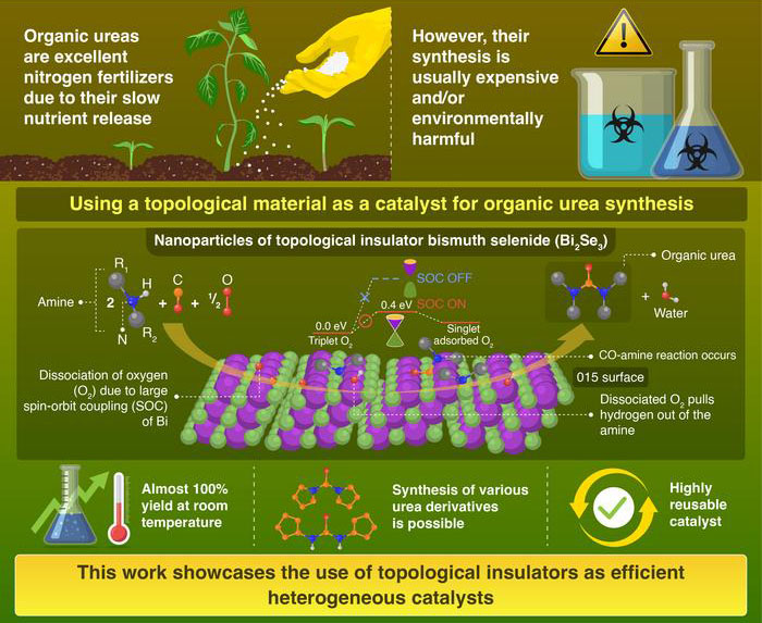 Using Quantum Materials as Catalysts for Fertilizer Synthesis