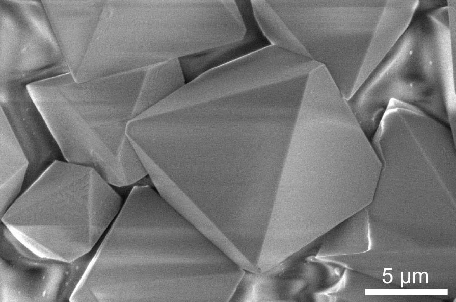 Scanning electron microscope image of six-element single crystals. The crystals are formed from building blocks of “multielement ink,” the first high-entropy semiconductor that can be processed at low temperature or room temperature