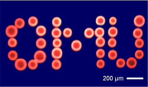 A set of 33 droplets fabricated to create 'OMU' using optical vortex laser-induced printing technique