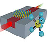 Read more about the article Integrating 2D supplies for on-chip photonics
