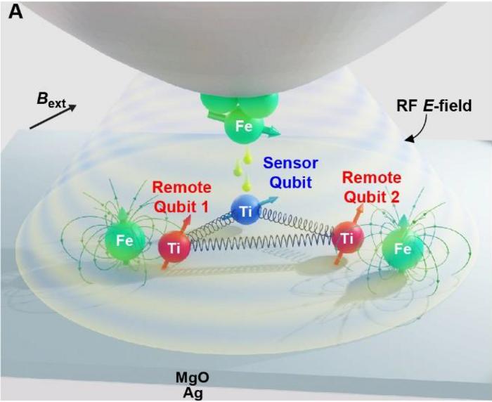 STM tip (Fe) operates the sensor qubit and romote qubits which creates the new multiple qubit platform
