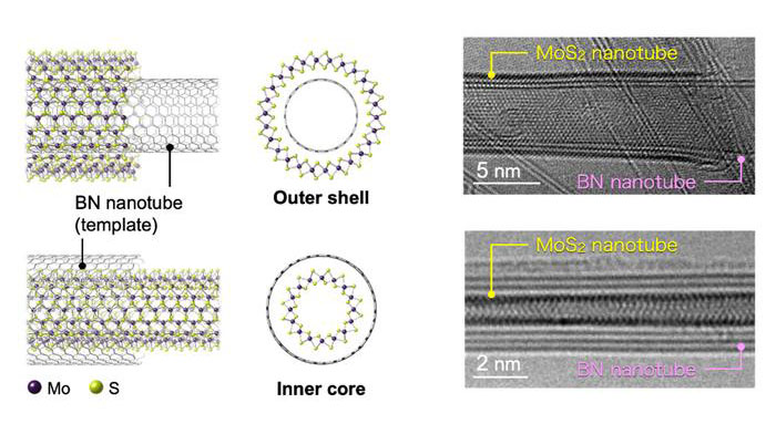 Boron-nitride nanotubes can template the growth of TMD nanotubes both inside and outside the tube