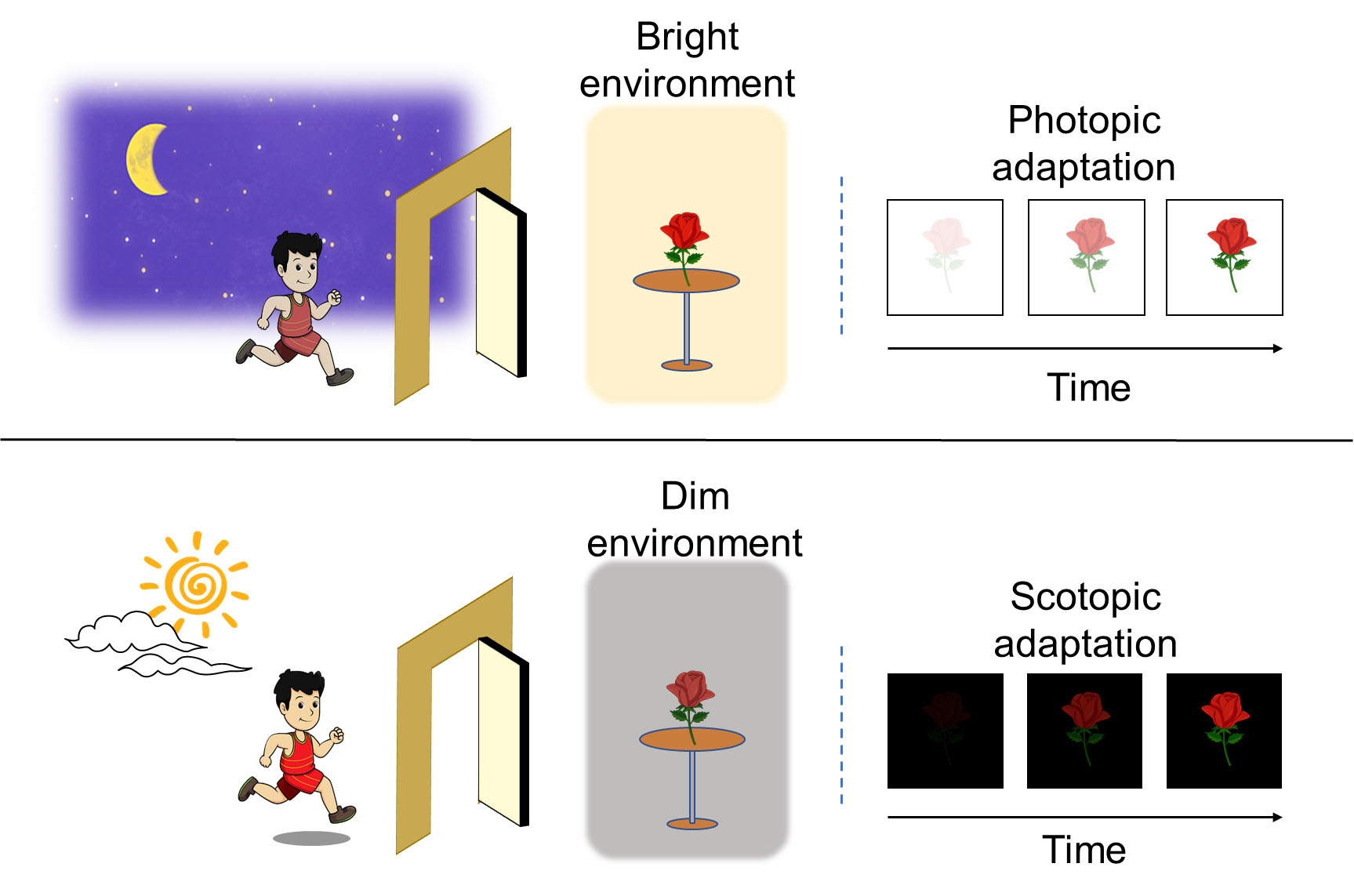 Bioinspired visual adaptation to different light intensities of environment