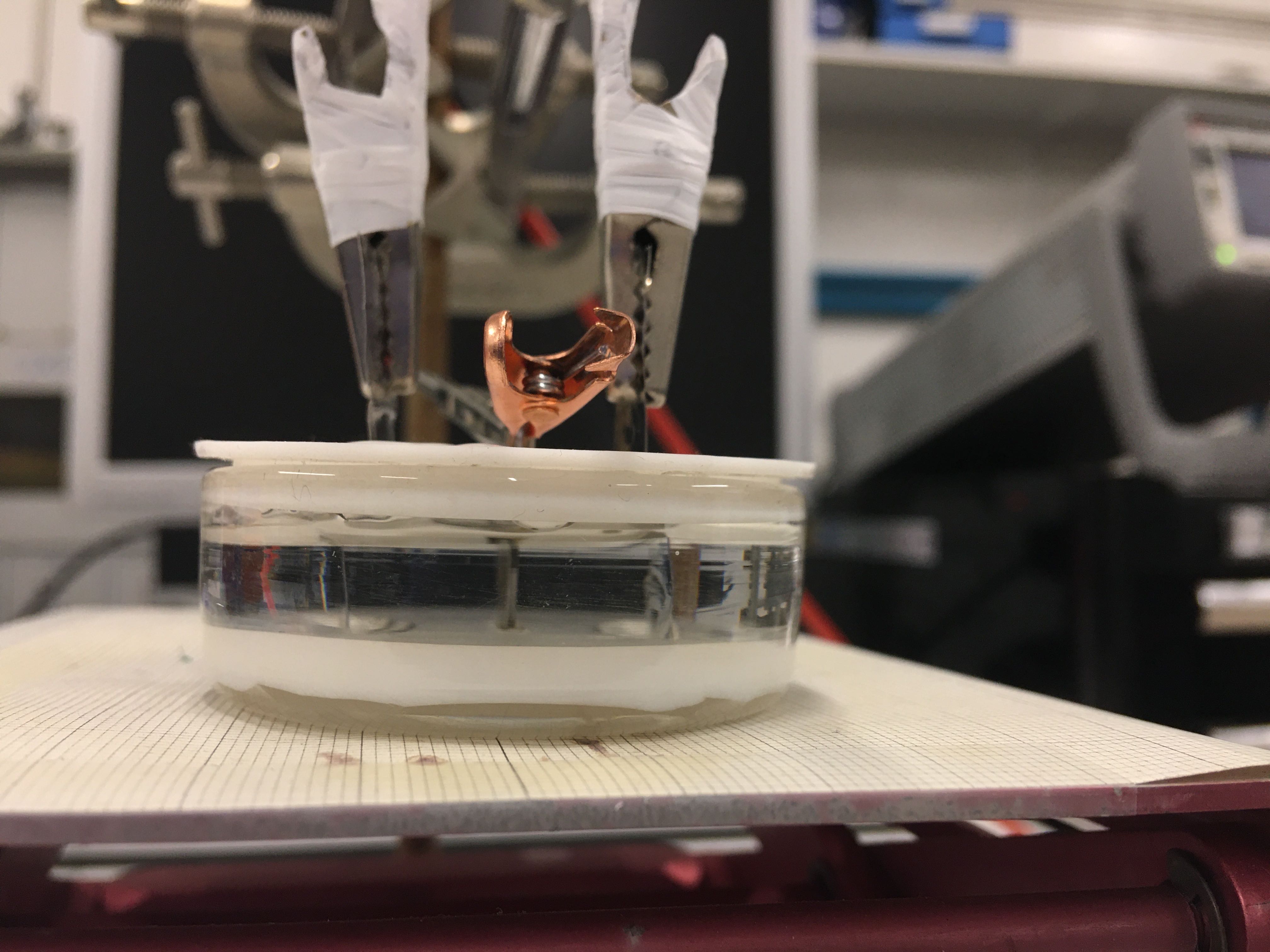 A thin layer of cobalt nitride (CoN) in a liquid with ionic conductivity. The voltage is applied to the liquid via two platinum plates