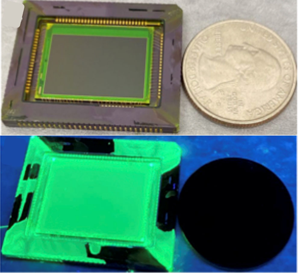 UV imaging sensor compared to a US quarter under white light (top) and under UV light (bottom), green appearance attributed to PNC layer fluorescence