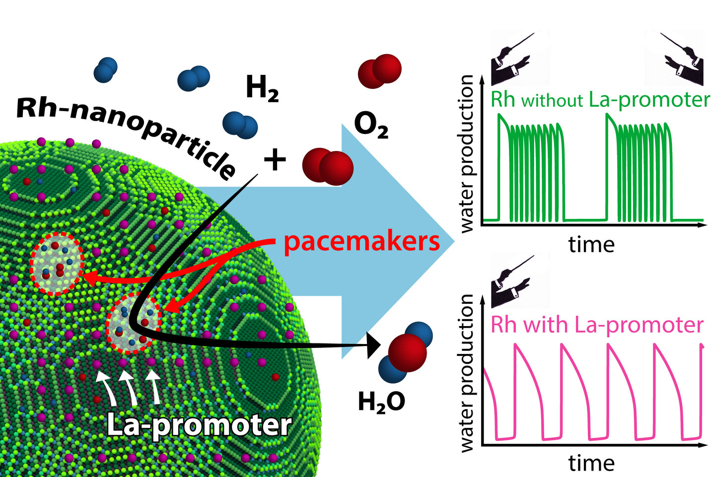 The reaction behavior of an individual nanoparticle is determined by its pacemakers. Addition of a La promoter significantly influences the interaction of these pacemakers.