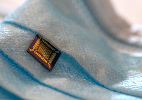 A breath sensor includes hybrid biological-silicon transistors that alter their electronic behavior when exposed to gases and other molecules