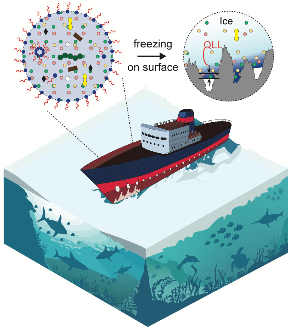 Impurities such as salt and alcohol affect how ice forms on surfaces, such as the hull of ships in arctic conditions