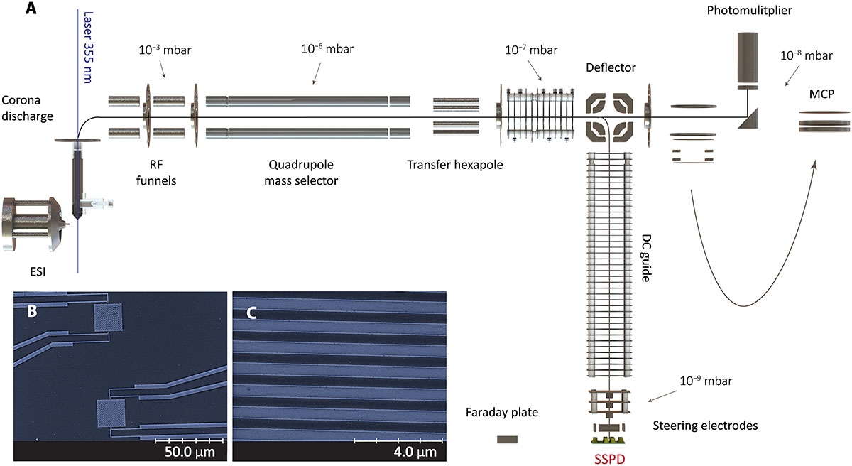 Quadrupole mass spectrometry with superconducting single particle detection