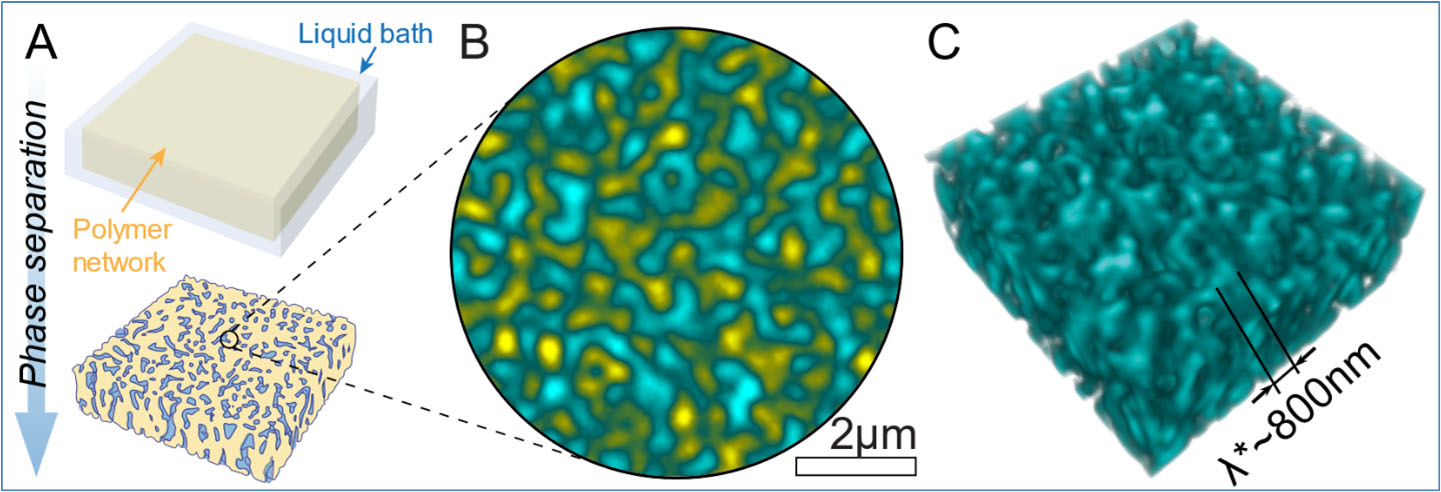 Enlarged view: Comparison of different images