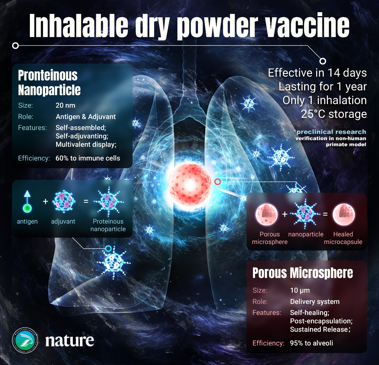 Construction of single-dose, dry powder inhalation vaccine