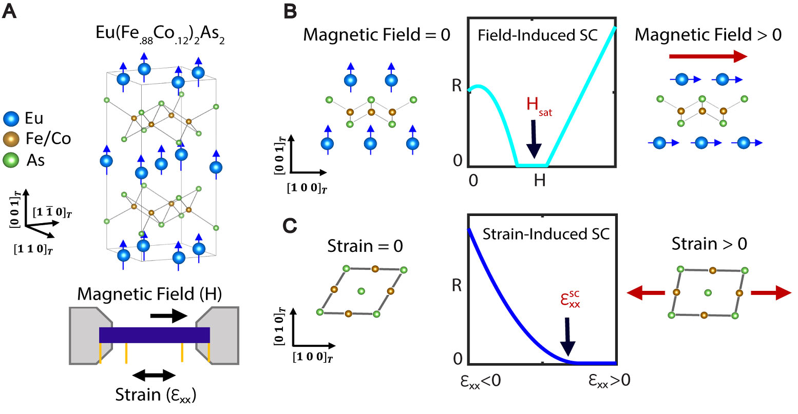 Various diagrams show the application of magnetic fields and strain to superconducting material, allowing scientists to activate its superconducting properties