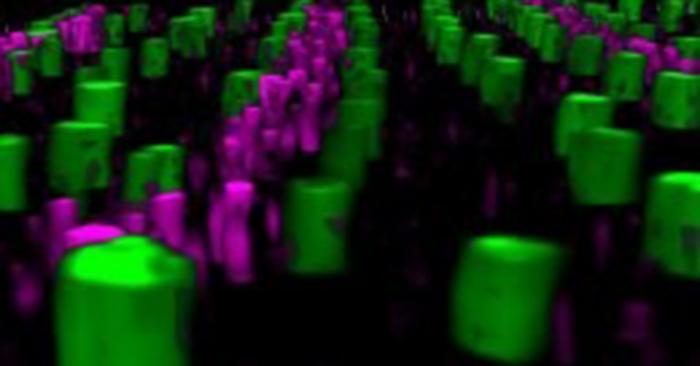 A 3D image reveals struts (green) alongside collagens (magenta)