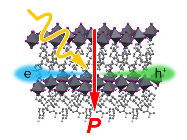 Schematic illustration of the bulk photovoltaic effect along the non-polar axis of the organic–inorganic hybrid perovskite