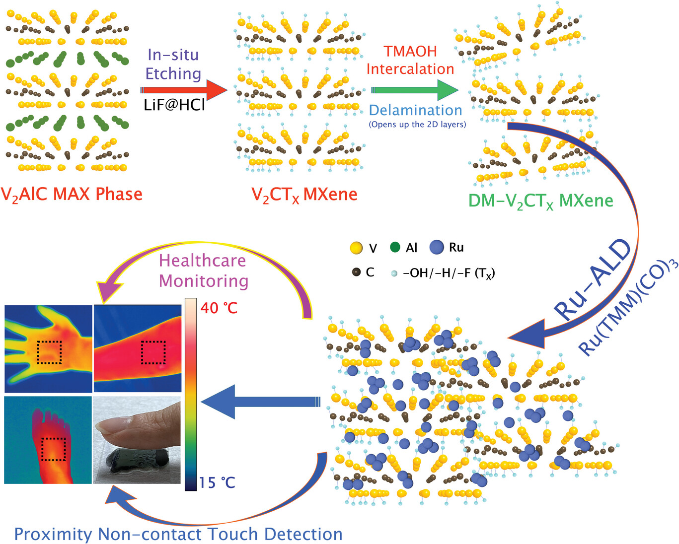 As-synthesized bulk quantity delaminated V2CTX MXene (DM-V2CTX) to develop Ru-ALD Engineered DM-V2CTX (Ru@DM-V2CTX) for real-time skin temperature sensing, noncontact touch, and breathing monitoring