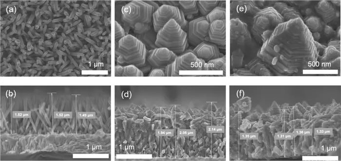 Scanning electron microscopy images of fabricated photoelectrode with nanopagoda array