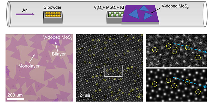 Vanadium-doped MoS2 monolayer is achieved through chemical vapor deposition method