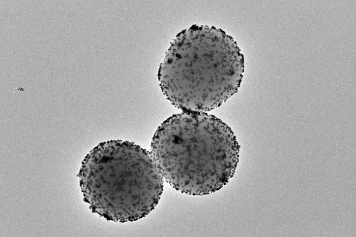 Transmission electron microscopy image of nanoparticle nanorobots