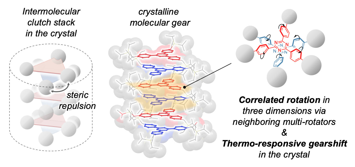  molecular gears in the clutch stack