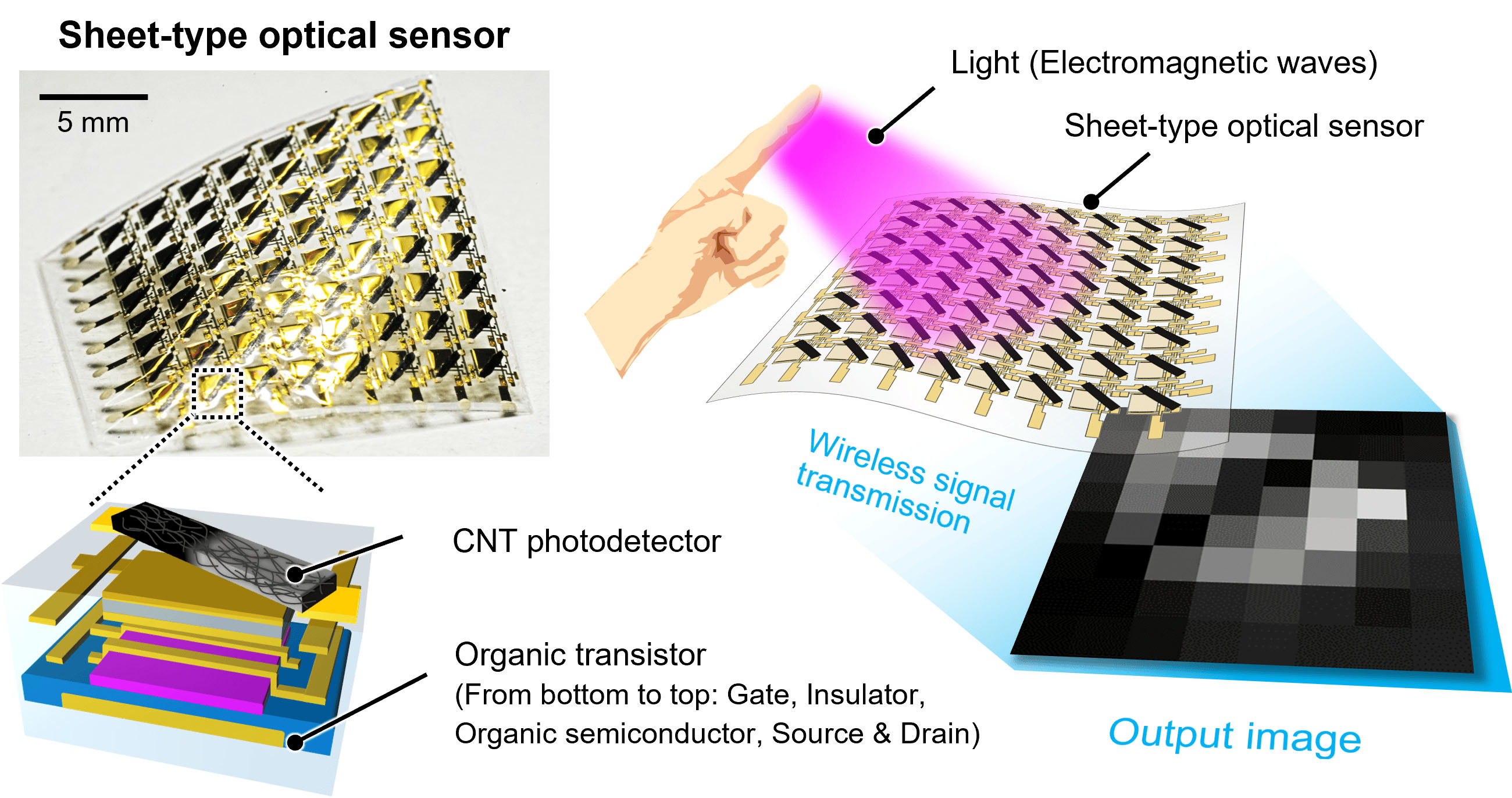 Sheet-type optical sensor integrated with a carbon nanotube photodetector and an organic transistor